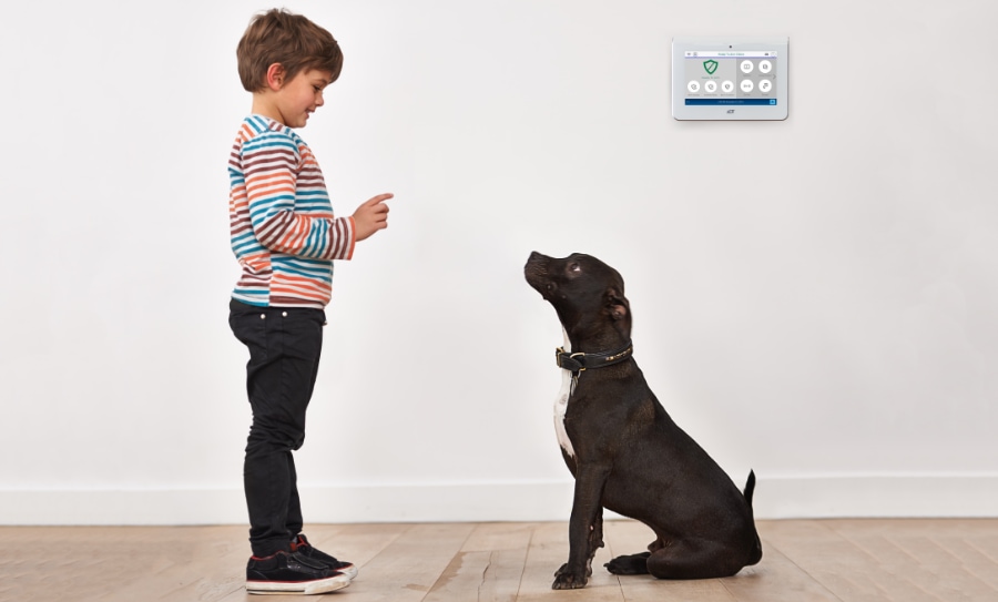 Carthage security systems